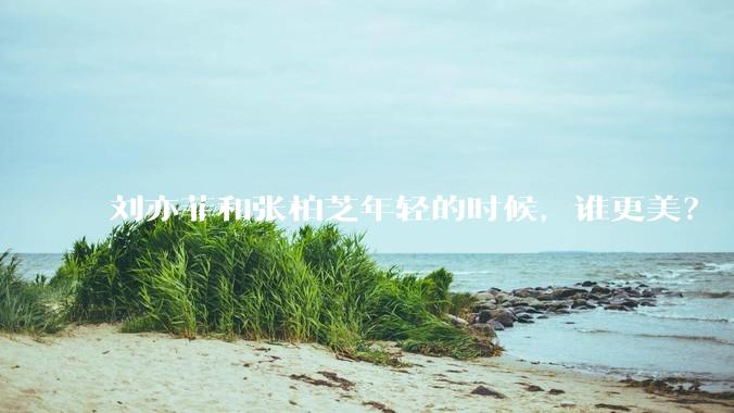 刘亦菲和张柏芝年轻的时候，谁更美？